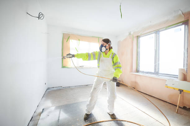 Best Emergency Mold Remediation  in Hancock, MD