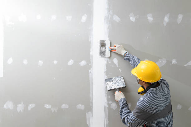 Dehumidification Services in Hancock, MD