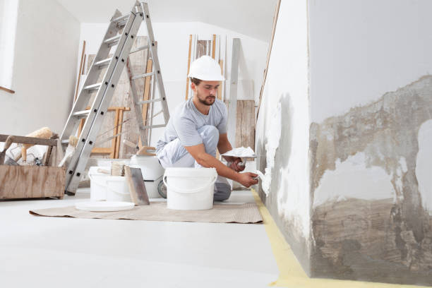Best Mold Damage Restoration  in Hancock, MD