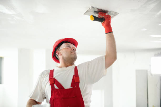Professional Mold Removal in Hancock, MD