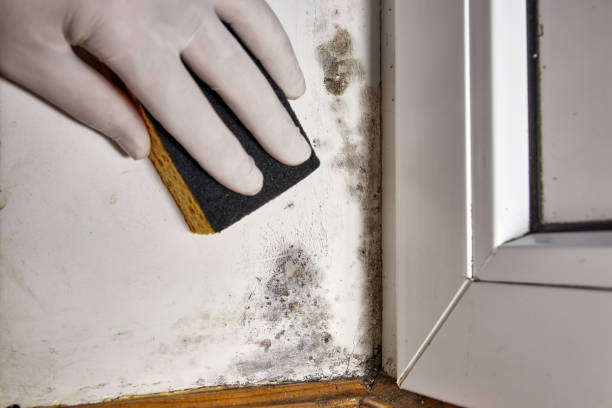 Best Post-Remediation Verification Testing  in Hancock, MD