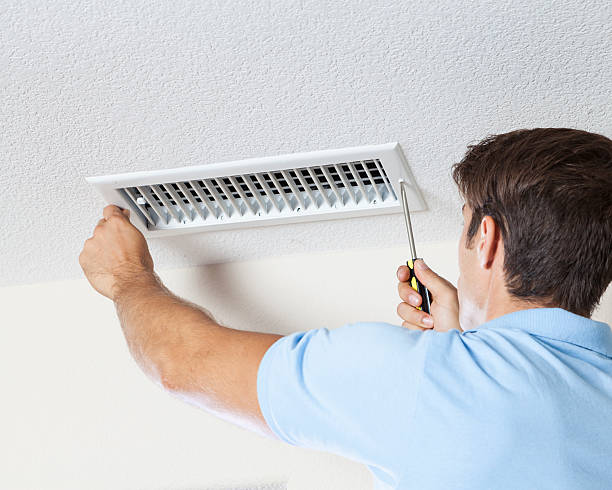 Best Biohazard Mold Removal  in Hancock, MD