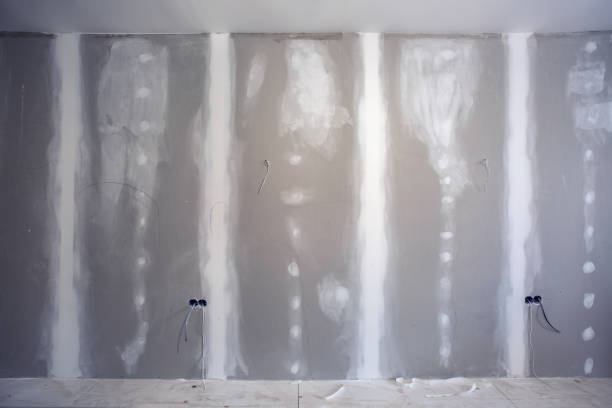 Best Crawl Space Mold Remediation  in Hancock, MD